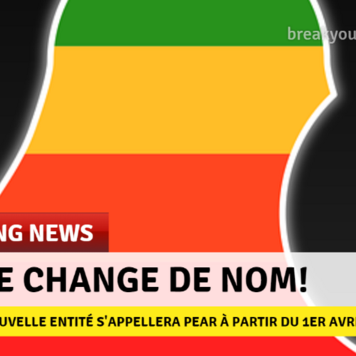 Les Fake News – cancer des réseaux sociaux?