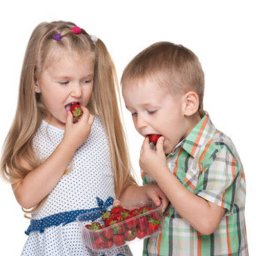Logiciels de gestion pour crèches et cantines scolaires
